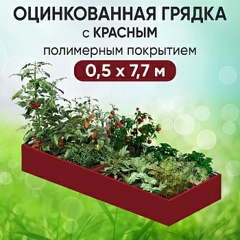 Грядка красная (0,5 х 7,7)