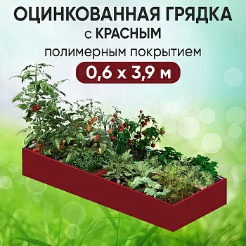 Грядка красная (0,6 х 3,9)