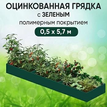 Грядка зеленая (0,5 х 5,7)
