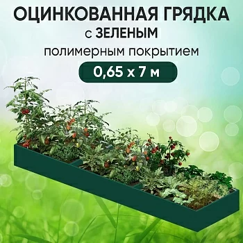 Грядка зеленая (0,65 х 7)
